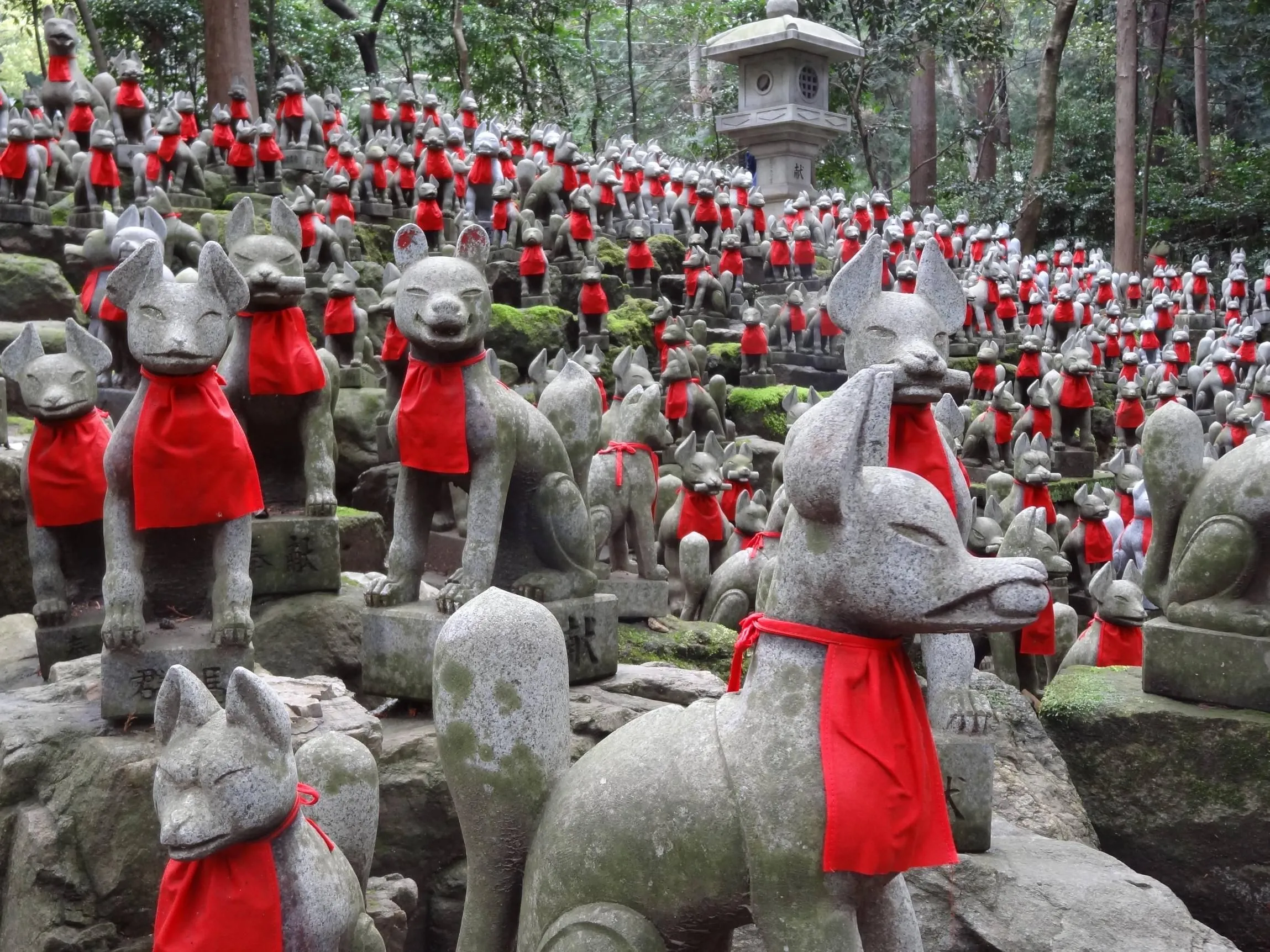 Đại diện vị thần Inari